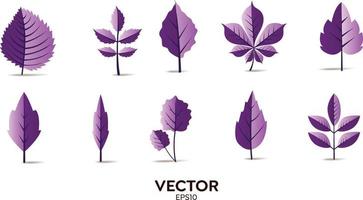 Vector designer elements set collection of purple jungle ferns, tropical eucalyptus art natural leaf herbal leaves in vector style. Decorative beauty elegant illustration for design