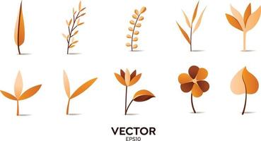 elementos de diseño vectorial conjunto colección de helechos amarillos de la selva, hojas de hierbas de hoja natural de arte tropical de eucalipto en estilo vectorial. ilustración elegante belleza decorativa para el diseño