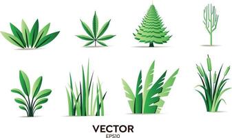 elementos de diseño vectorial conjunto colección de helechos de bosque verde, eucalipto verde tropical arte verde hoja natural hojas de hierbas en estilo vectorial. ilustración elegante belleza decorativa para el diseño