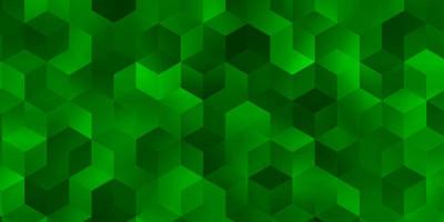 Fondo de vector verde claro con conjunto de hexágonos.