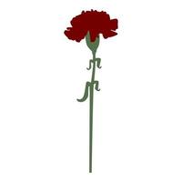 Carnation flower  red color One items vector