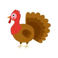 Vector illustration of cute turkey isolated on white background.