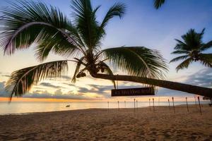Beautiful sunset on the beach of Ko Kho Khao island with palm trees, Thailand photo