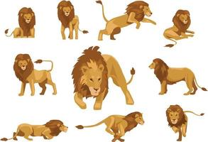 león leones tigre animales salvajes africanos mascota ilustración vector