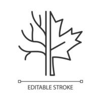 Maple tree linear icon. Official canadian emblem. Species of trees in Canada. Maple leaf symbol. Thin line customizable illustration. Contour symbol. Vector isolated outline drawing. Editable stroke