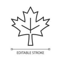 Maple leaf linear icon. Historic landmark. Central element of canadian national flag. Thin line customizable illustration. Contour symbol. Vector isolated outline drawing. Editable stroke