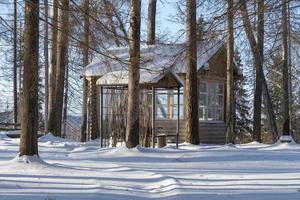 Wooden gazebo in the woods on a Sunny winter day. photo