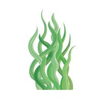 green seaweed nature vector