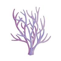 purple seaweed plant vector