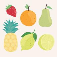 fresh and healthy fruits vector