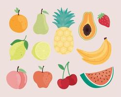 frutas deliciosas y frescas vector