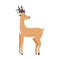 cute reindeer standing vector