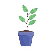 pot plant nature vector