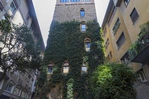 The walls and Windows of the building are covered with ivy and green vine. photo