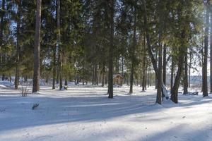 Wooden gazebo in the woods on a Sunny winter day. photo