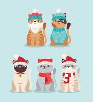 five cute christmas cats vector
