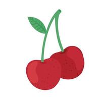cherries delicious fruit vector