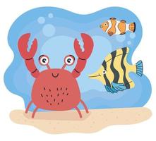 three cute sealife animals vector