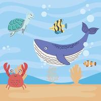 five cute sealife animals vector