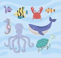 ocho lindos animales marinos vector