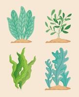 collection of seaweed plants vector