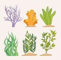 set of algaes plants vector