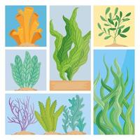 seaweed nature scenes vector