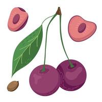 A set of cherry fruit drawn in a flat style, slices and halves of fruit, leaves and bones. A set of stickers in pastel colours vector