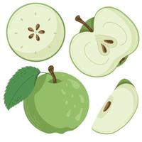 A set of apple fruit drawn in a flat style, slices and halves of fruit, leaves and bones. A set of stickers in pastel colours vector