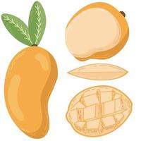 un conjunto de frutas de mango dibujadas en un estilo plano, rodajas y mitades de frutas, hojas y huesos. un juego de pegatinas en colores pastel vector