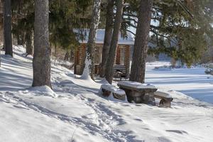 Wooden gazebo in the woods on a Sunny winter day. photo