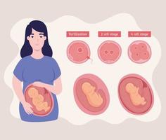 pregnant woman and icons vector