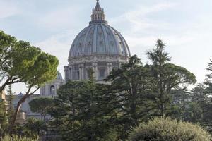 la cúpula del vaticano obstruye los árboles. foto