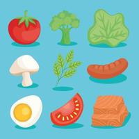 nine healthy food ingredients vector