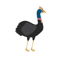 cassowary exotic australian bird vector