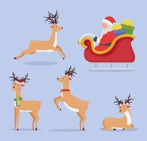 five reindeer animals icons vector