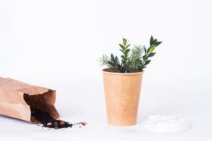 coffee cup of reusable materials with green twigs inside and black tea in an organic bag near on white background photo