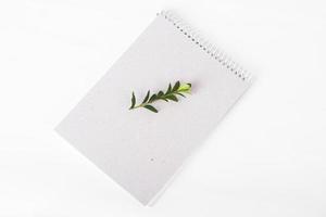 organic paper notebook with green twig on white background. zero waste concept photo