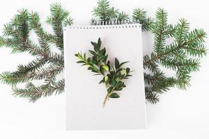 organic paper notebook with green twig on white background. zero waste concept photo