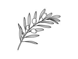 Olive Branch Vector Art, Icons, and Graphics for Free Download