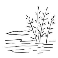 Doodle swamp. Sketch of natural pond vector