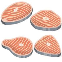 Piece of red salmon fish meat with pink stripe. vector