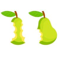 Green pear core. Flat cartoon illustration. Bitten sweet fruit. vector