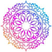 Mandala ornament or flower background design. vector