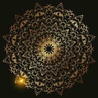 Mandala ornament or flower background design. vector