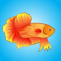 ilustración del logotipo de la mascota de los peces betta para su mercancía o antecedentes comerciales aislados vector