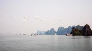 Beautiful landscape in Halong bay, Vietnam. Cliffs in the water. Touristic ships.