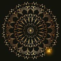 Mandala ornament or flower background design. vector