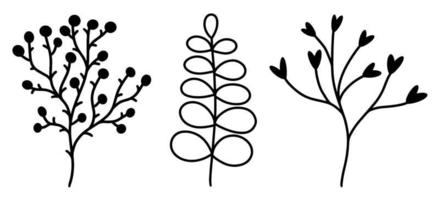 Silhouettes of flowers, field grass vector set. Hand-drawn illustration isolated on white background. Plants with round berries and thorns, branches with leaves and seeds.