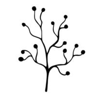Silhouette of leafless branch with round berries vector icon. Hand-drawn illustration isolated on white background. Twig outline. Botanical sketch of a bush. Bare sprig. Monochrome natural element.